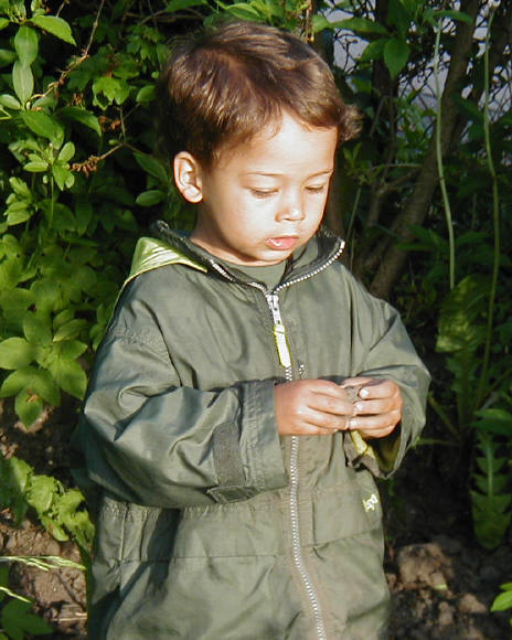 Sune 2004